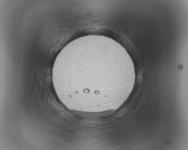 X0000112521156200909141216