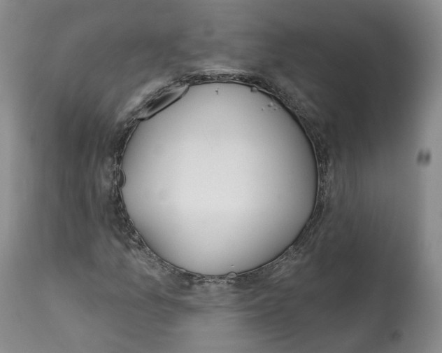 X0000112521157200909141216