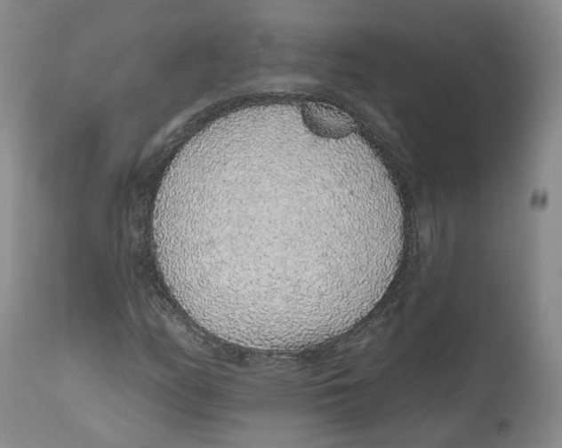 X0000112521158200909141216