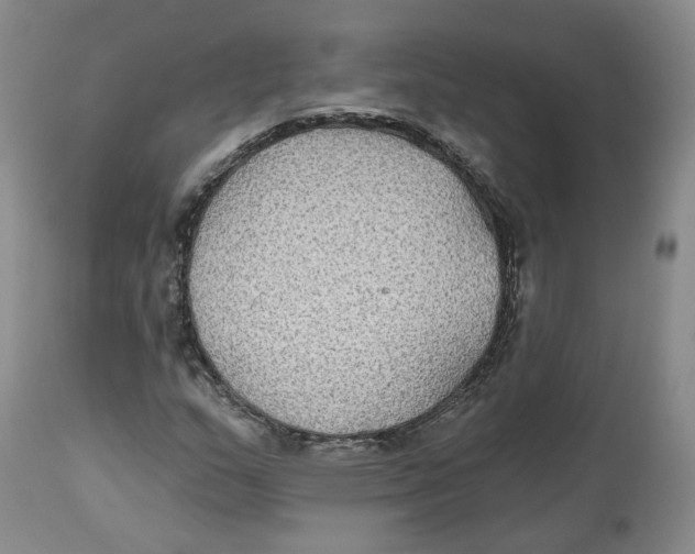 X0000112521159200909141216