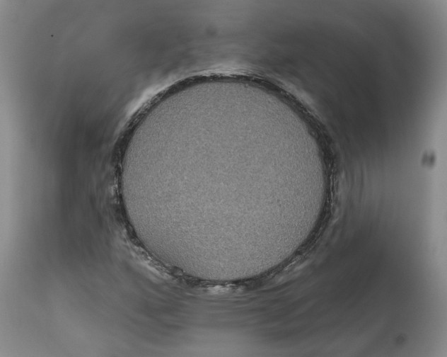 X0000112521160200909141216