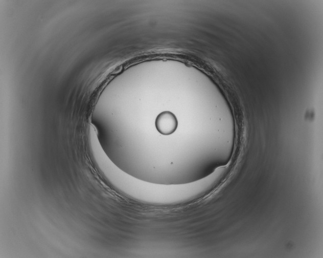 X0000112521161200909141216