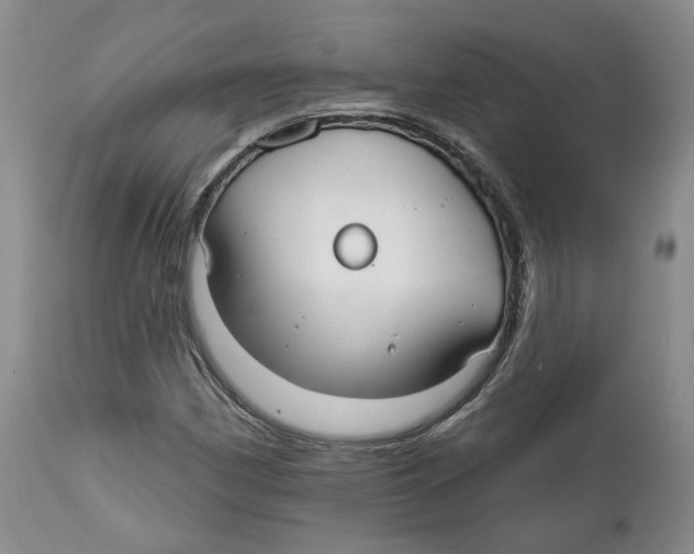 X0000112521162200909141216