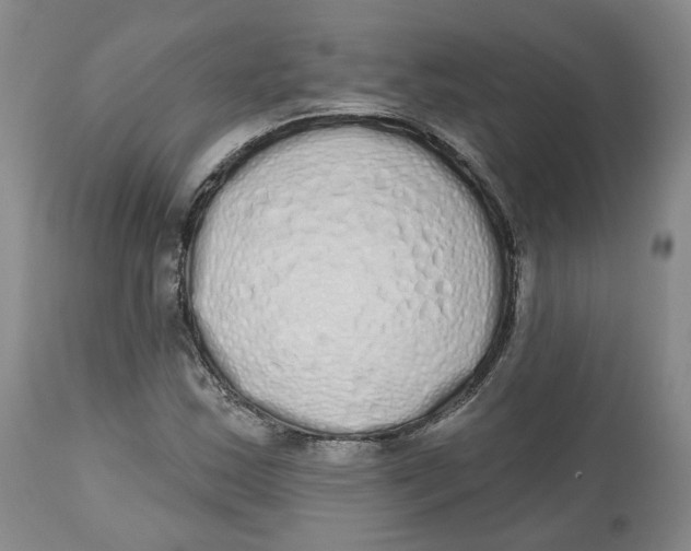 X0000112521163200909141216