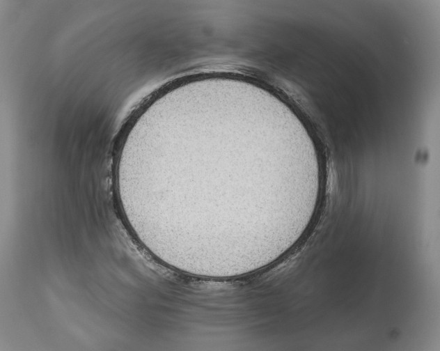 X0000112521164200909141216