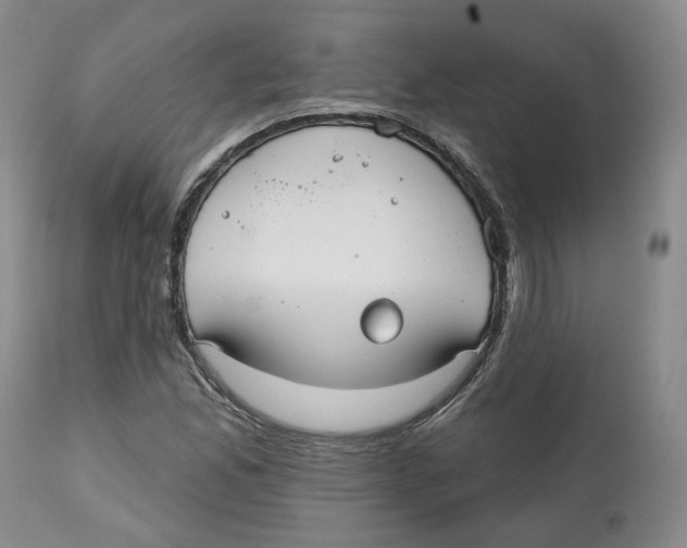 X0000112521165200909141216