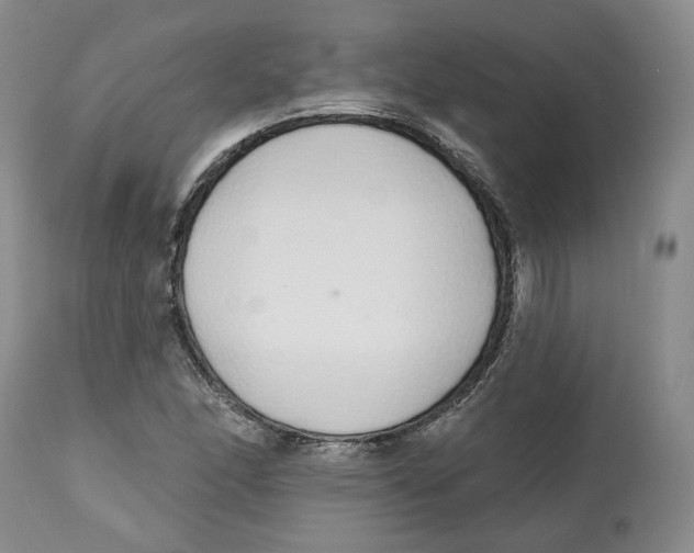 X0000112521166200909141216