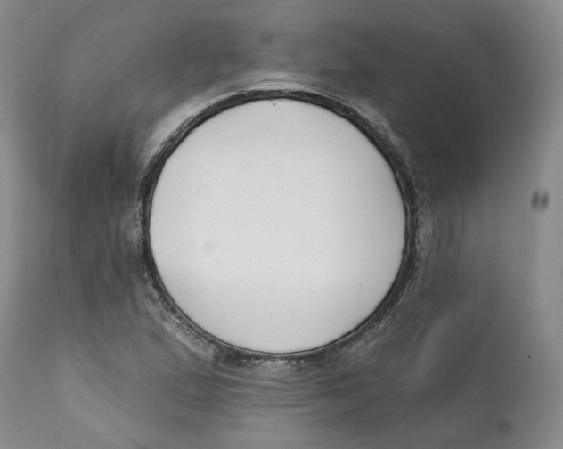 X0000112521167200909141216