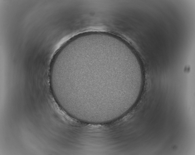 X0000112521168200909141216