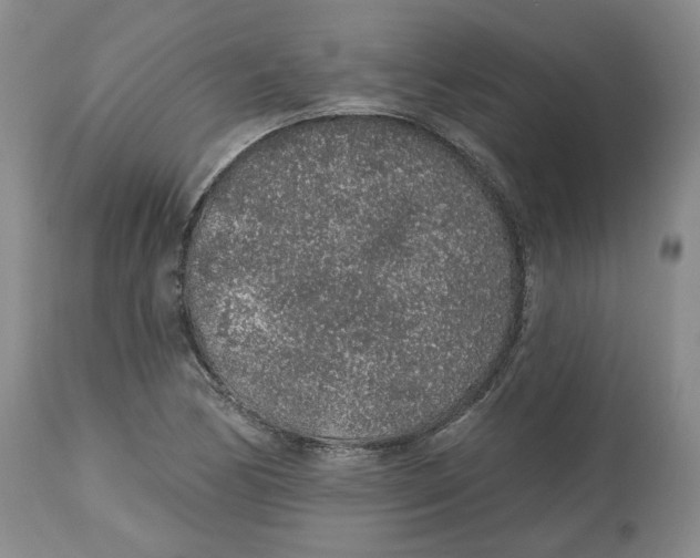 X0000112521170200909141216
