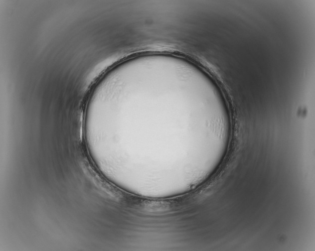 X0000112521171200909141216
