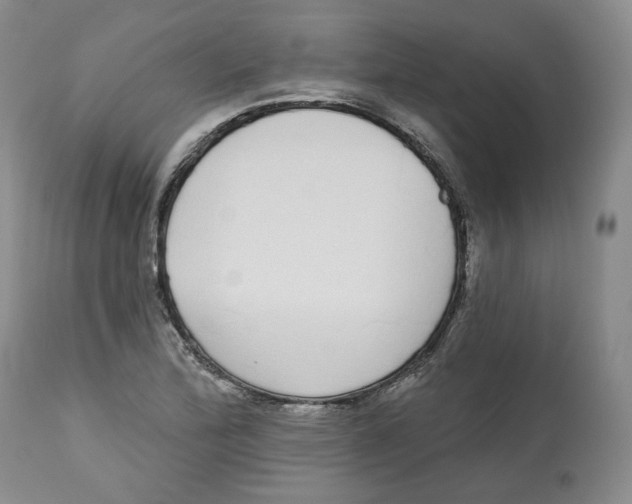 X0000112521172200909141216