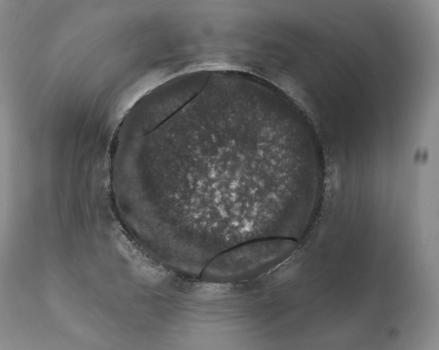 X0000112521173200909141216