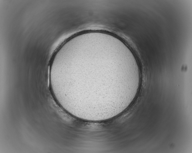 X0000112521175200909141216