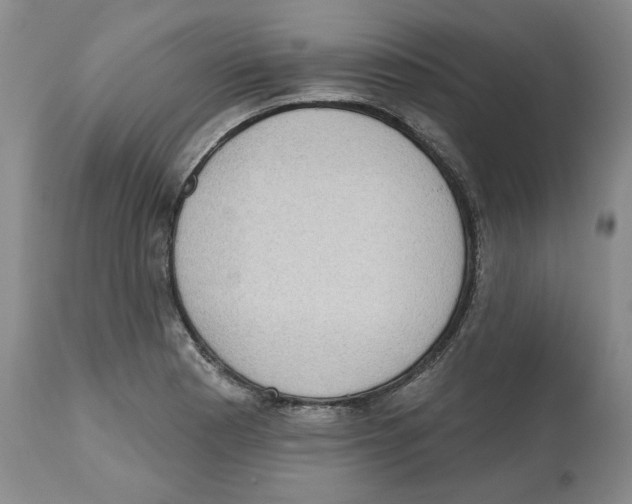 X0000112521177200909141216