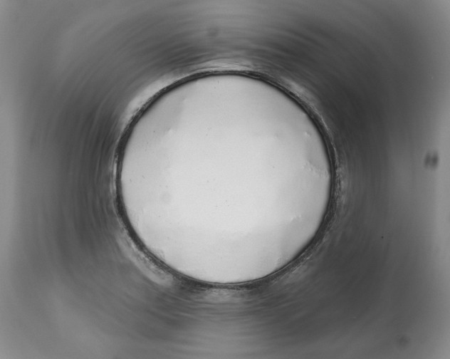 X0000112521179200909141215