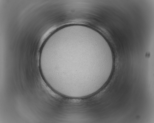 X0000112521180200909141215