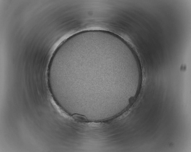 X0000112521181200909141215