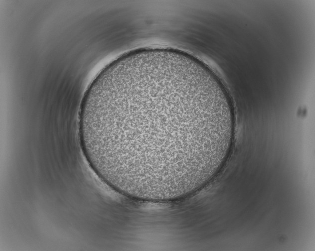 X0000112521183200909141215