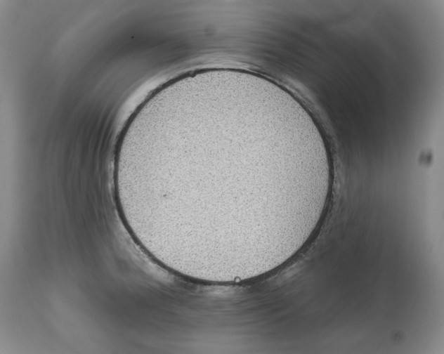 X0000112521188200909141215