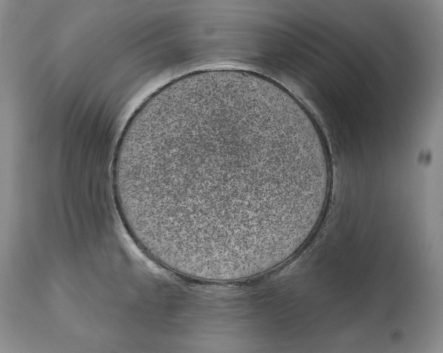 X0000112521189200909141215
