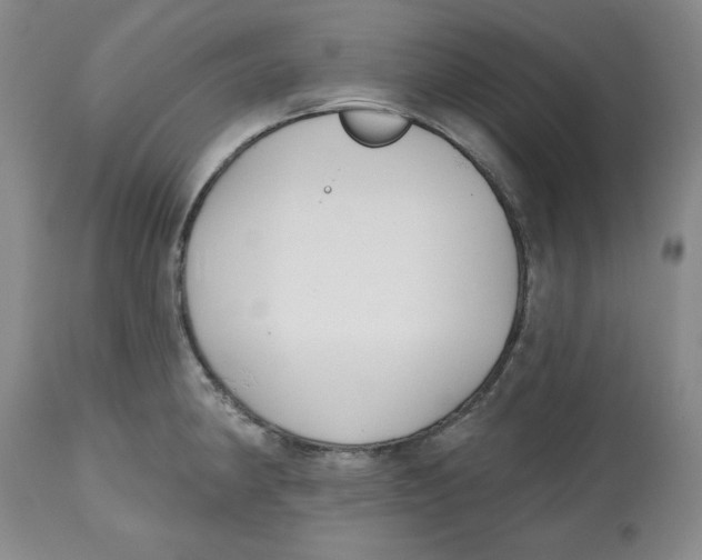 X0000112521190200909141215