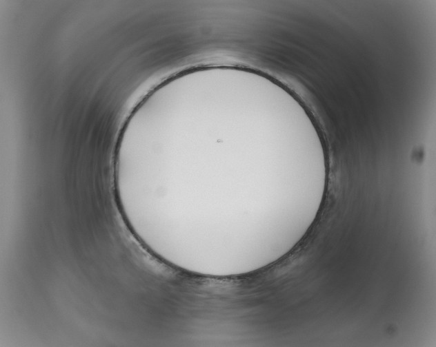 X0000112521191200909141215