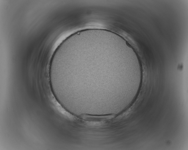 X0000112521192200909141215