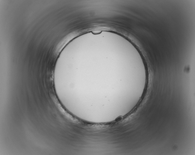 X0000112521193200909141215