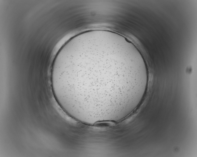X0000112521196200909141215