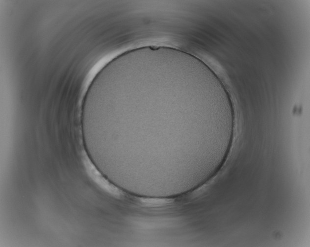 X0000112521200200909141215
