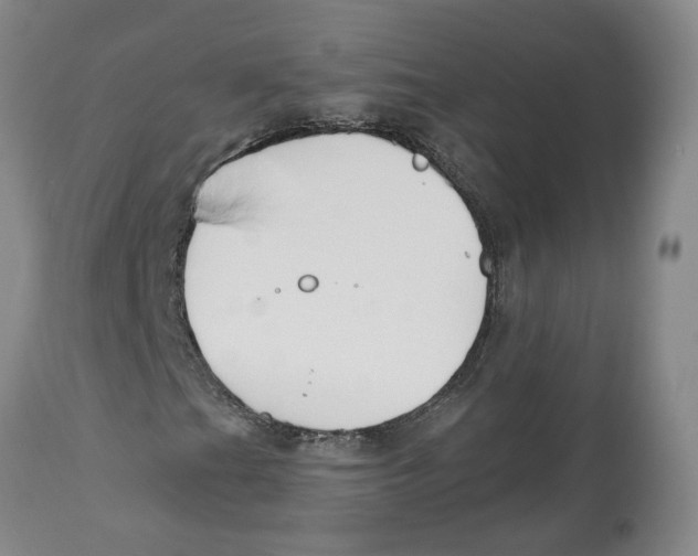X0000112521201200909141214