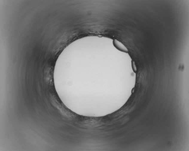 X0000112521202200909141214