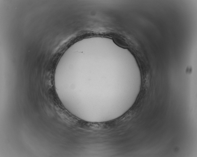 X0000112521205200909141214