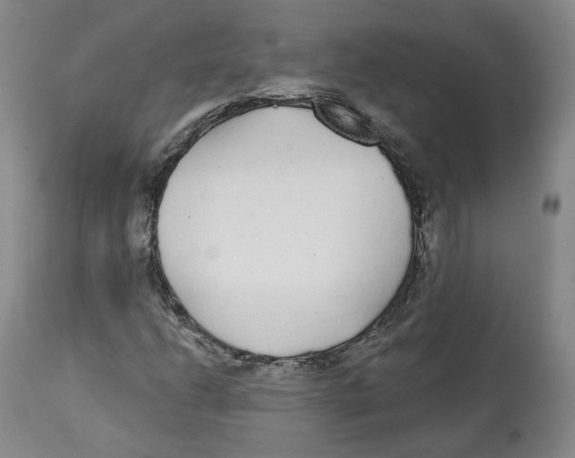 X0000112521206200909141214