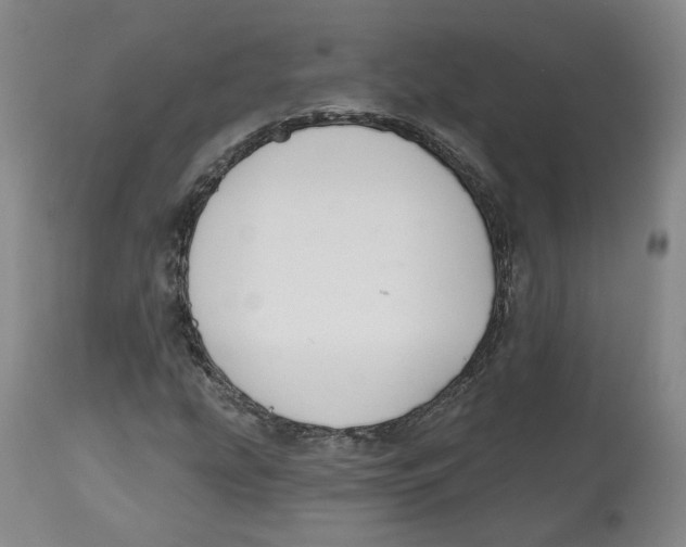 X0000112521207200909141214