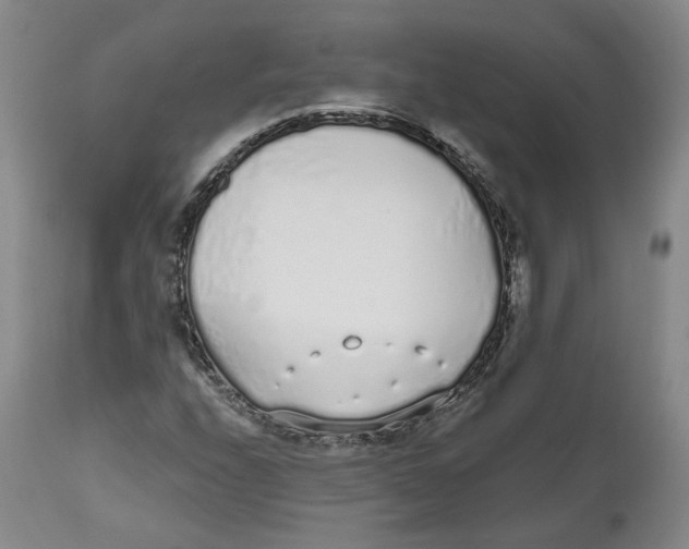 X0000112521208200909141214
