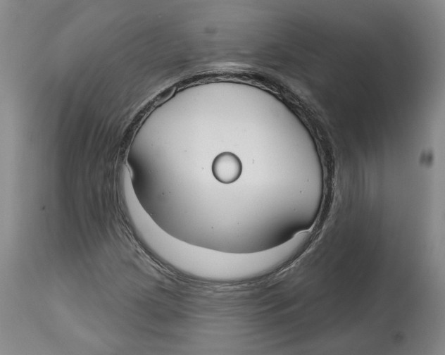 X0000112521209200909141214