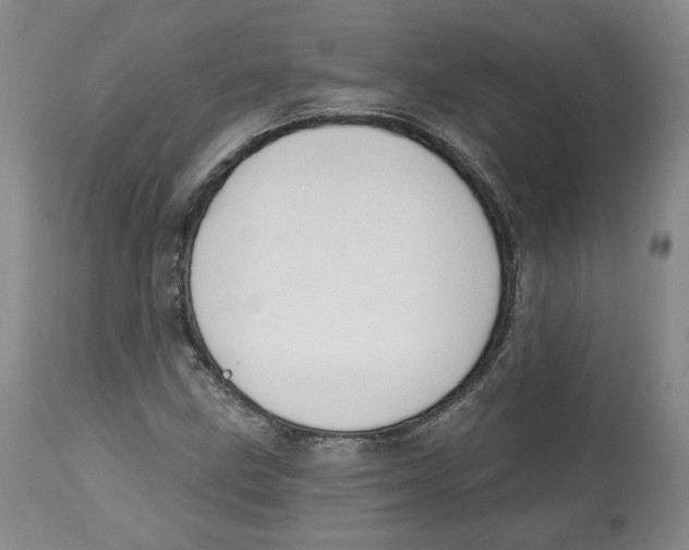 X0000112521211200909141214