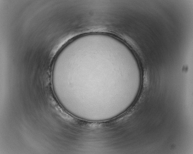 X0000112521212200909141215