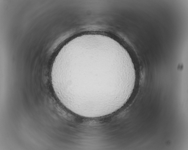 X0000112521213200909141215