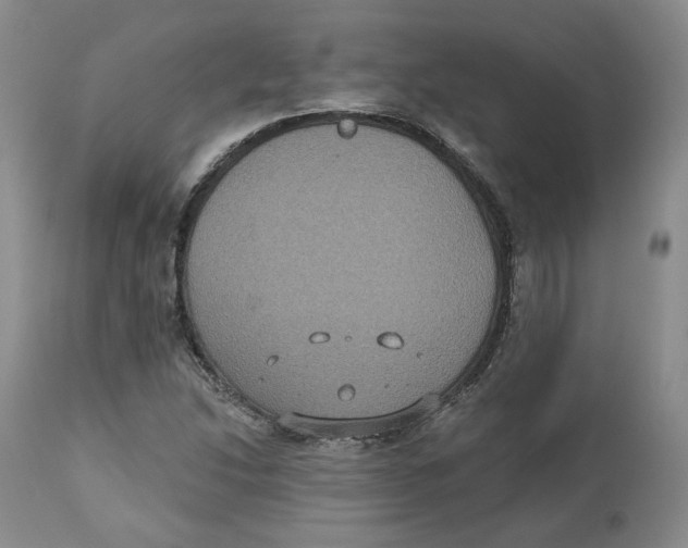 X0000112521214200909141215