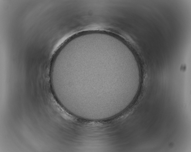 X0000112521216200909141215