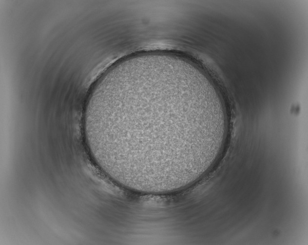 X0000112521217200909141215