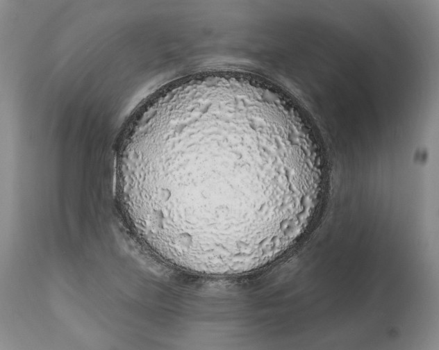 X0000112521219200909141215