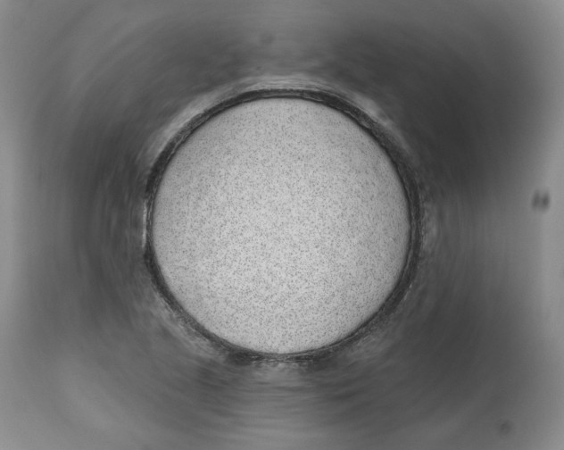 X0000112521221200909141215
