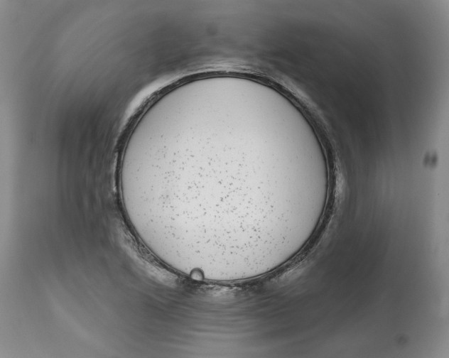 X0000112521222200909141215