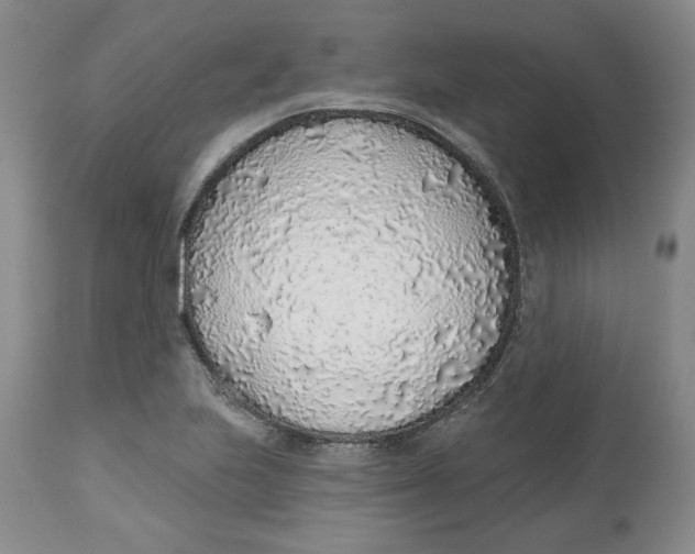 X0000112521223200909141215