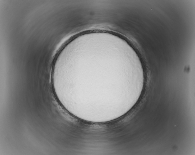 X0000112521224200909141215