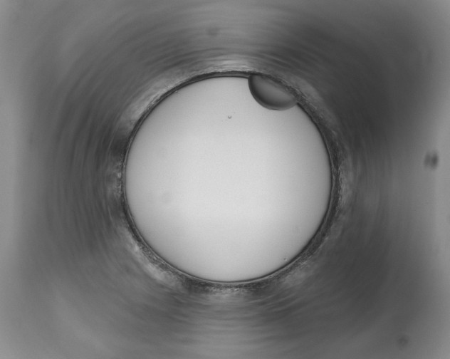 X0000112521225200909141215